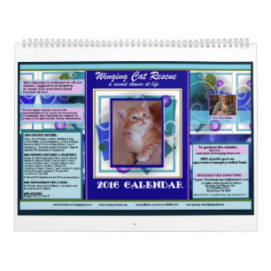 Påskynda katten rädda 2016 högvärdiga kalender