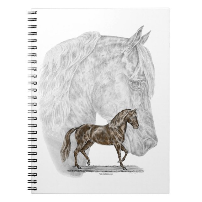Paso Fino Horse Art Anteckningsbok Med Spiral (Framsidan)