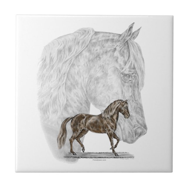 Paso Fino Horse Art Kakelplatta (Framsidan)