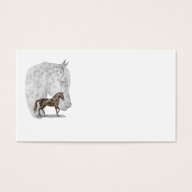 Paso Fino Horse Art Visitkort (Framsidan)