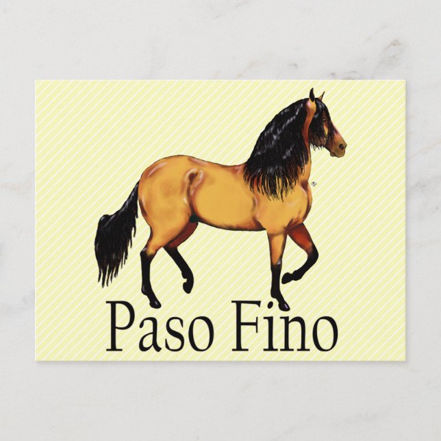 Paso Horse Buckskin Paso Fino Vykort (Framsida)