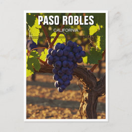 Paso Robles California Central Kusten Vykort