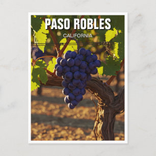 Paso Robles California Central Kusten Vykort