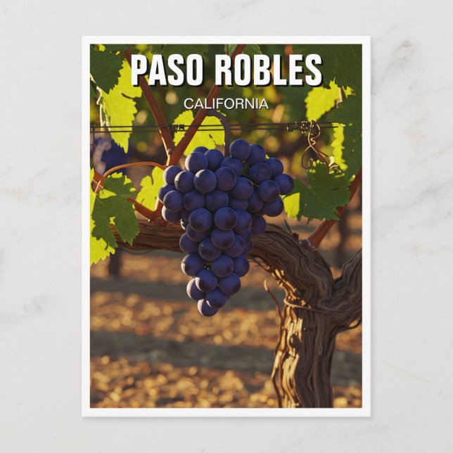 Paso Robles California Central Kusten Vykort (Framsida)