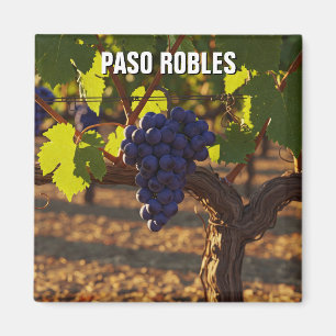 Paso Robles Kalifornien Central Coast Magnet