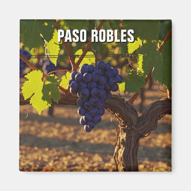 Paso Robles Kalifornien Central Coast Magnet (Framsidan)