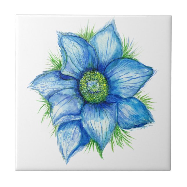 Pasque Flower in Blue Ceramic Tile Kakelplatta (Framsidan)