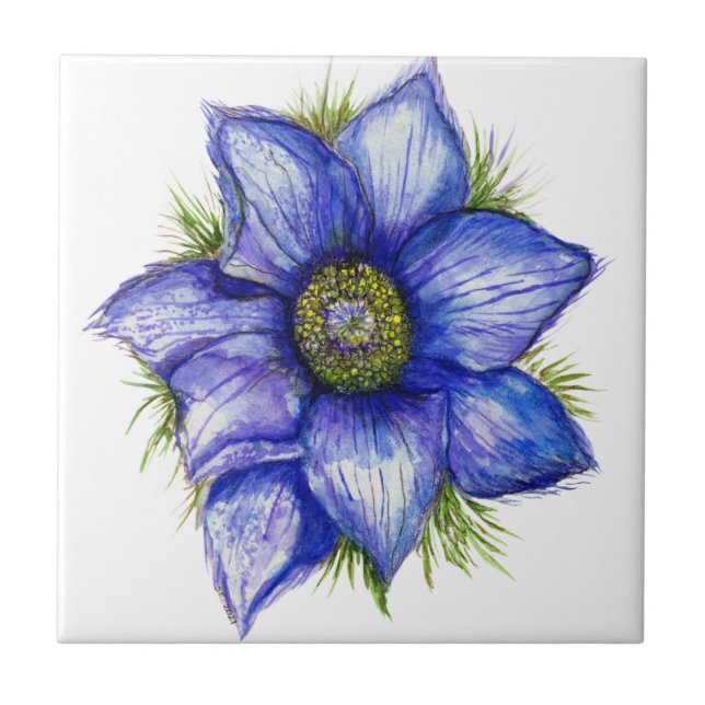 Pasque Flower in Blue Kakelplatta (Framsidan)