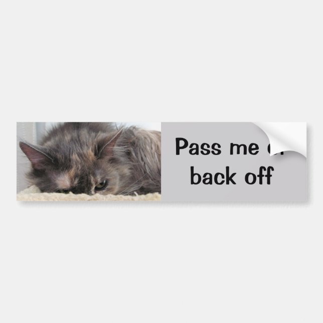 Pass Me or Back off Cat Car Bildekal (Framsidan)