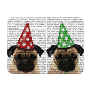 PASS PIRE Party Magnet