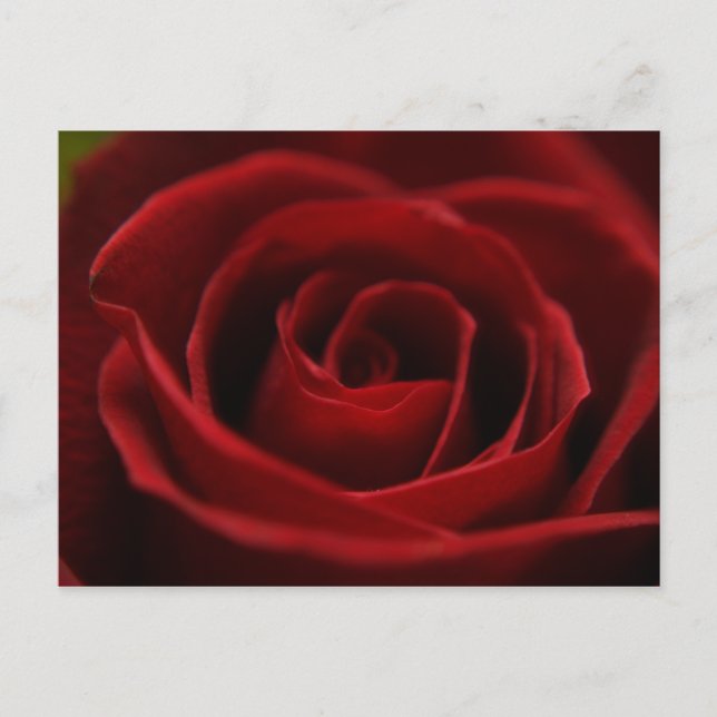 Passa rött vykort (Framsida)