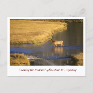 Passage av vykort för Madison Postcross