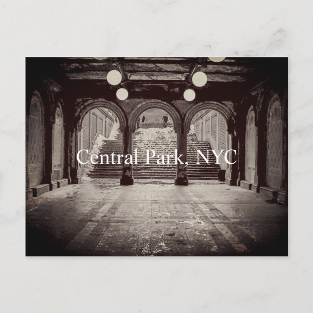 Passage under Bethesda Terrace Postcard Vykort (Framsida)