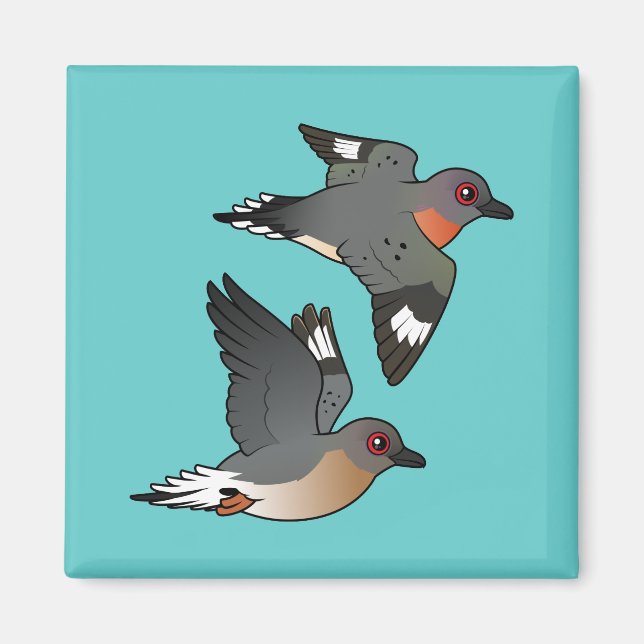 Passagerare Pigeon Flight Magnet (Framsidan)