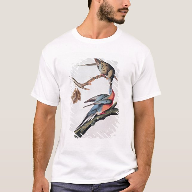 Passagerareduva, från 'fåglar av America T Shirt (Framsida)