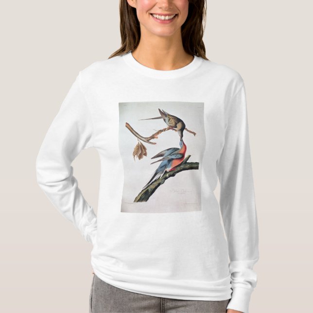 Passagerareduva, från 'fåglar av America Tee Shirt (Framsida)