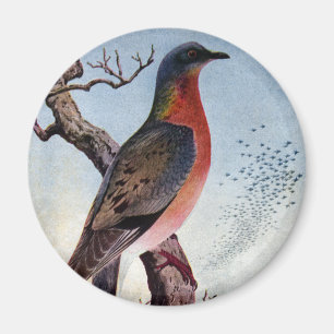Passagerareduvan Magnet