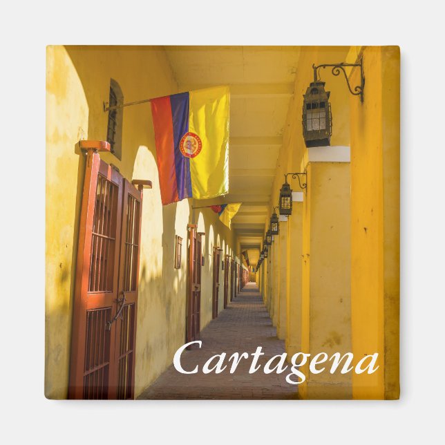 Passageway and Flags Magnet (Framsidan)