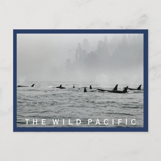 Passande vykort för val (Framsida)