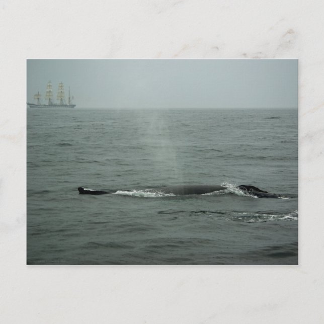 Passar bara med vykort (Framsida)