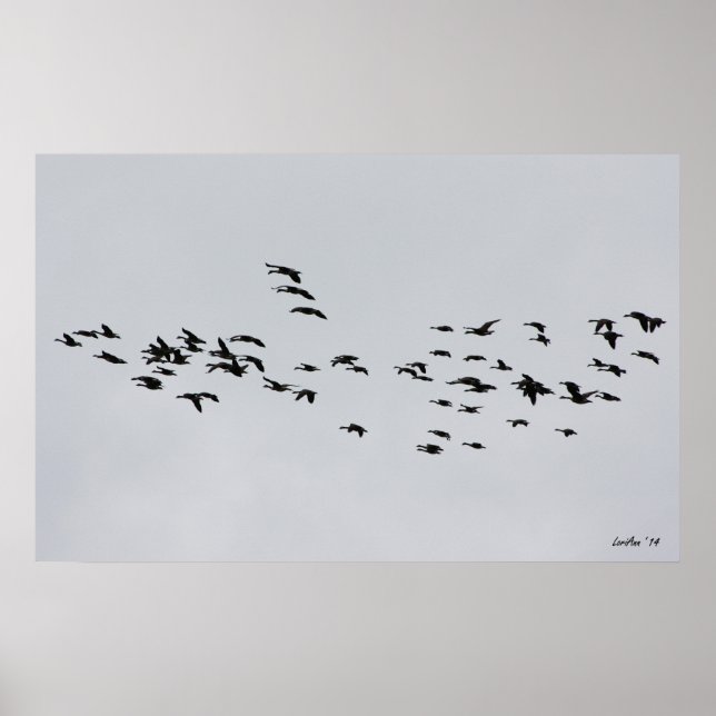 Passar med 1 poster (Framsidan)