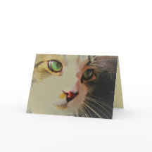 Passar snabbkatt med Grönt Ögon