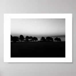 Passar Träd Canada Black and White Photography Poster