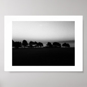 Passar Träd Canada Black and White Photography Poster