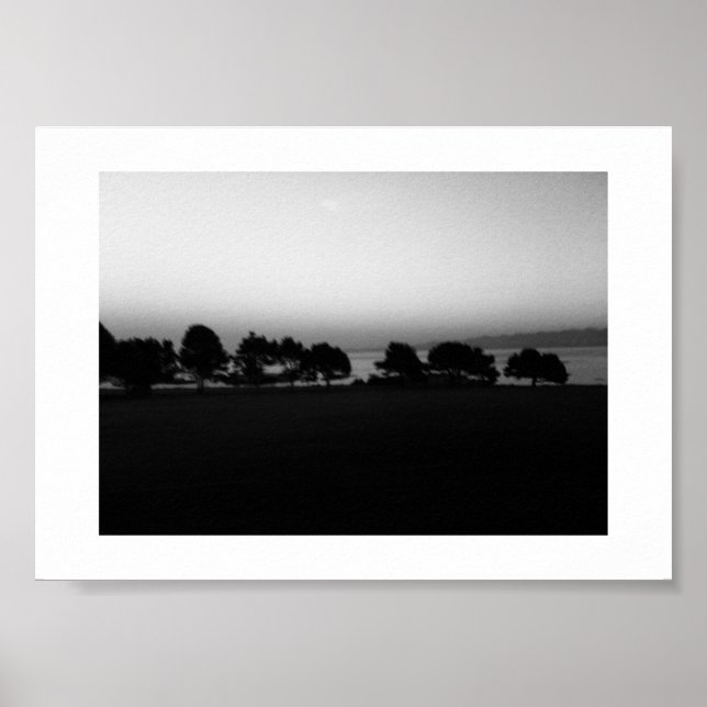 Passar Träd Canada Black and White Photography Poster (Framsidan)