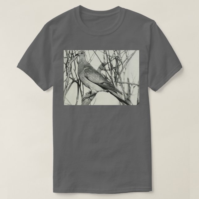 Passenger Pigeon T Shirt (Design framsida)