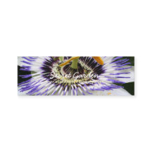 Passiflora 3 Floral Photography