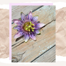 Passiflora Blommigt Weasted Wood papper
