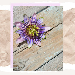 Passiflora Blommigt Weasted Wood papper
