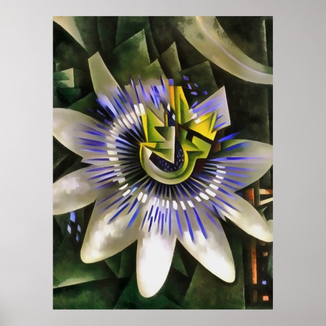 Passiflora-passion blommar i Geometric Art Stil Poster (Framsidan)