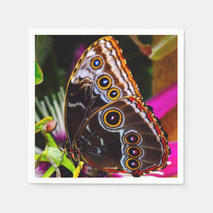 Passiflora VIOLACEA och Blue morpho butterfly Pappersservett