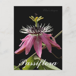 Passiflora-vykort Vykort