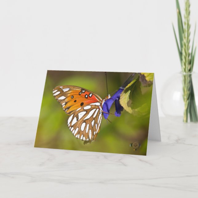 Passion Butterfly Embrace Lee Hiller Photography Kort (Framsida)