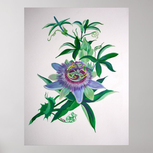 Passion Flower Botanical Art Poster (Framsidan)