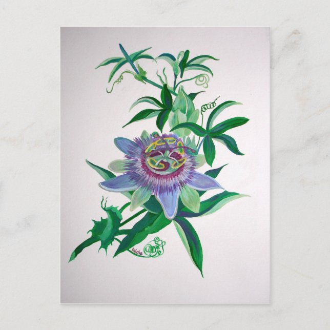 Passion Flower Botanical Art Vykort (Framsida)