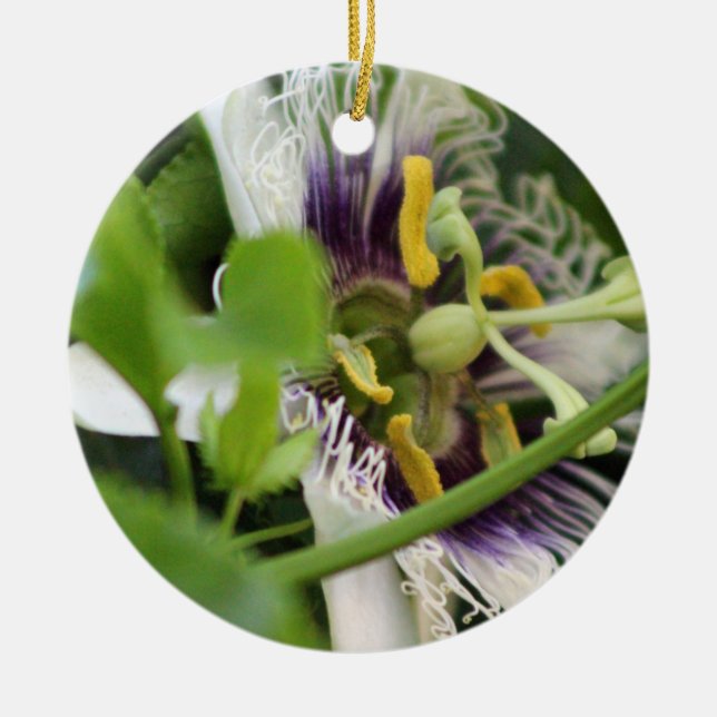 Passion Flower Closeup Julgransprydnad Keramik (Framsidan)