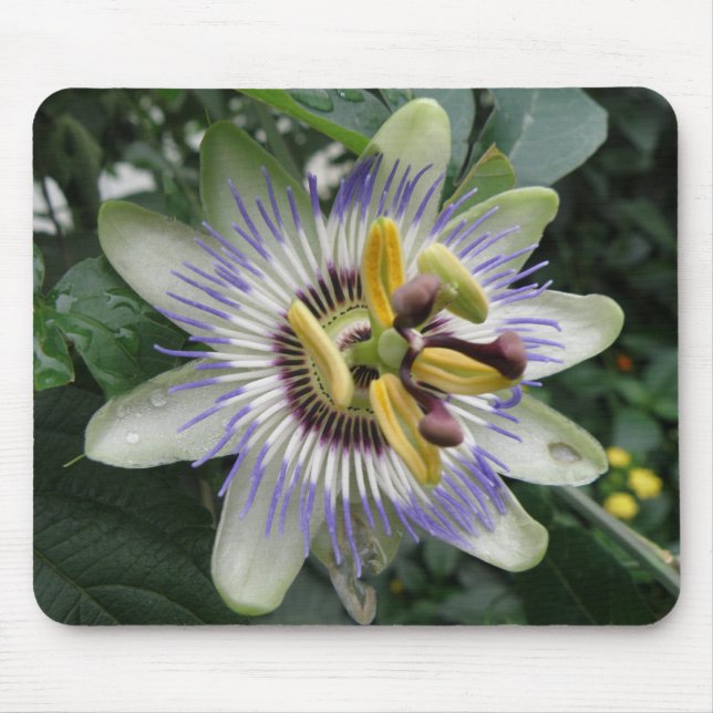 Passion Flower Mousepad Musmatta (Framsidan)