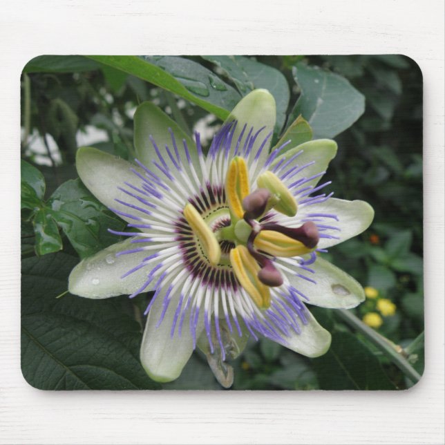 Passion Flower Mousepad Musmatta (Framsidan)