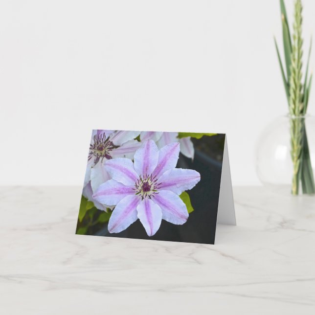 Passion Flower Notecard Kort (Framsida)