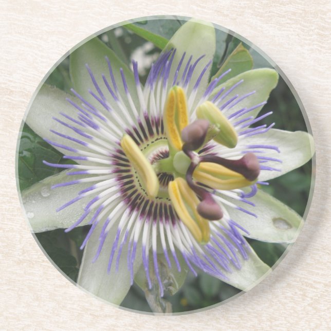 Passion Flower Underlägg (Framsidan)