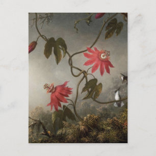 Passion Flowers med Hummingbird av Martin Johnso Vykort