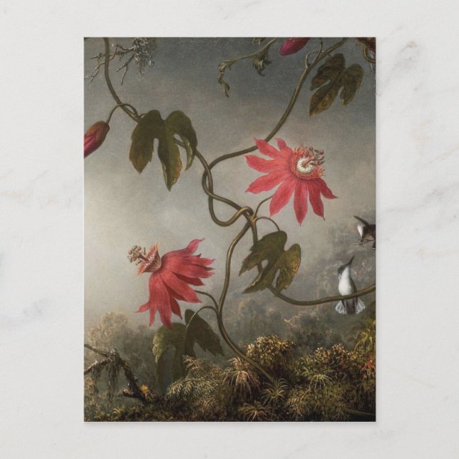 Passion Flowers med Hummingbird av Martin Johnso Vykort (Framsida)