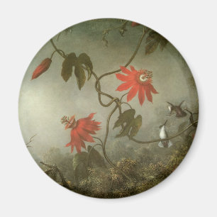 Passion Flowers och Hummingbird av Martin J Heade Magnet