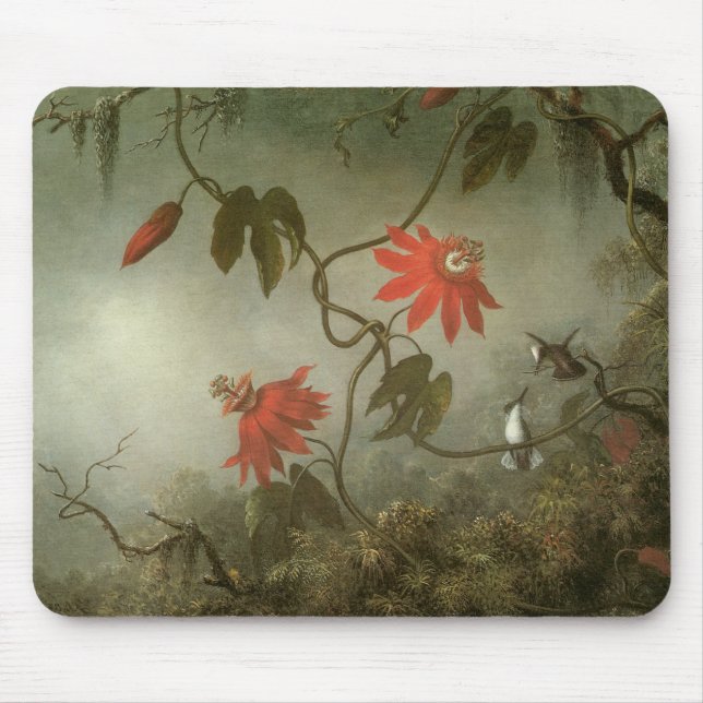 Passion Flowers och Hummingbird av Martin J Heade Musmatta (Framsidan)