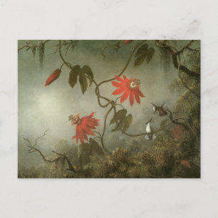 Passion Flowers och Hummingbird av Martin J Heade Vykort