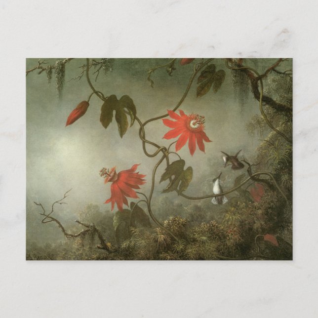Passion Flowers och Hummingbird av Martin J Heade Vykort (Framsida)